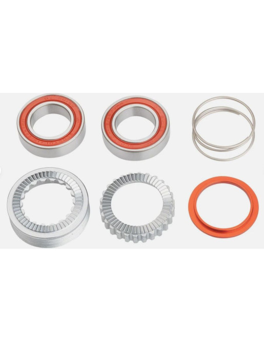 DT Swiss ratchet service kit 180 & 240 EXP W/Bearings